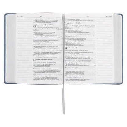 NLV Blougrys Kunsleer Joernaal-Bybel