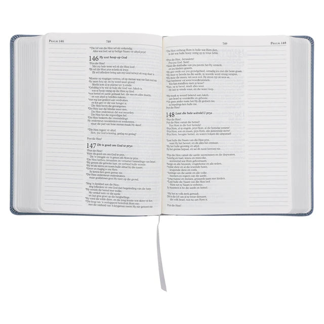 NLV Blougrys Kunsleer Joernaal-Bybel