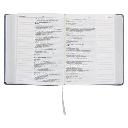 NLV Blougrys Kunsleer Joernaal-Bybel