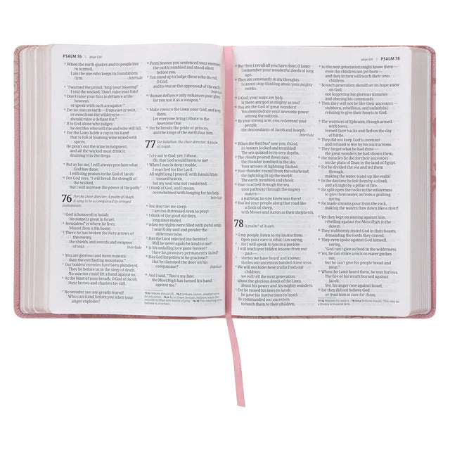NLT Pink Peonies Genuine Leather Bible Large Print