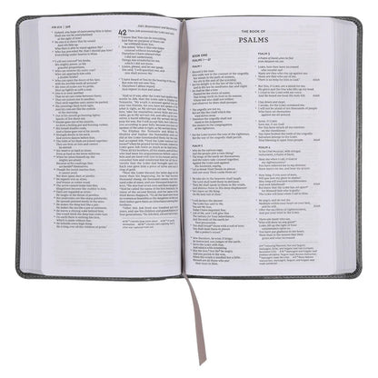 NKJV Deluxe Gift Bible Red Letter Gray (Comfort Print)(Imitation Leather)