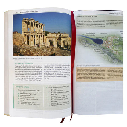 NKJV Study Bible Red Letter Complete Full Color (Comfort Print)(Hardcover)