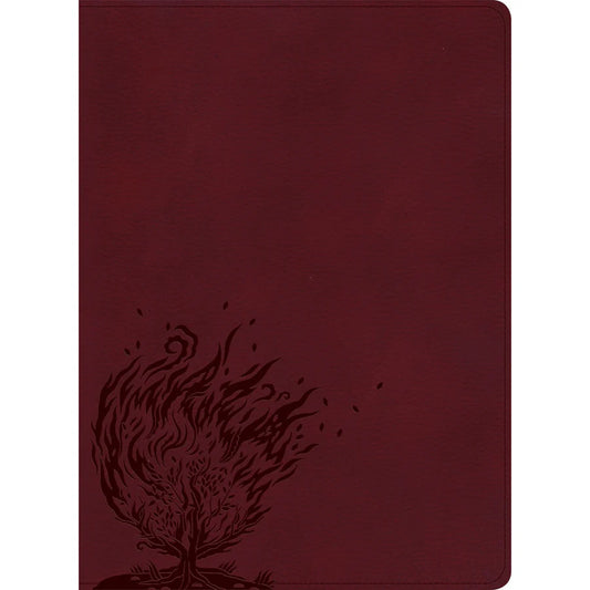 CSB Experiencing God Bible – Burgundy; Imitation Leather; Neriah’s Light