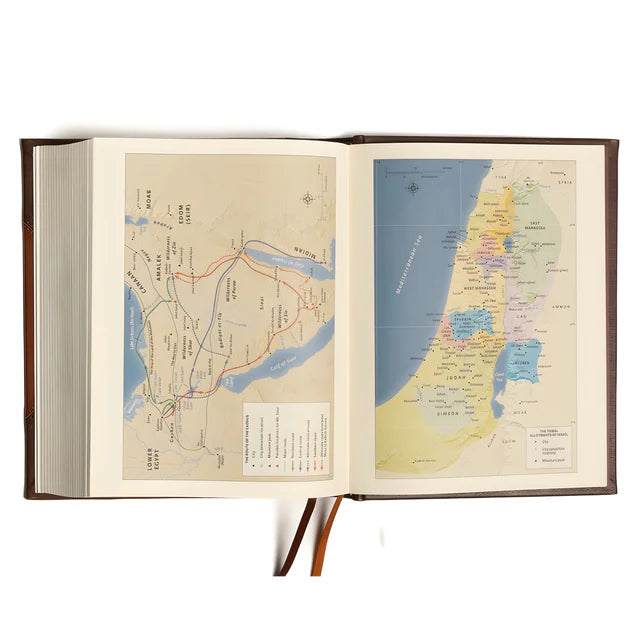 Neriah’s Light: CSB Notetaking Bible; Brown & Tan Large Print Edition