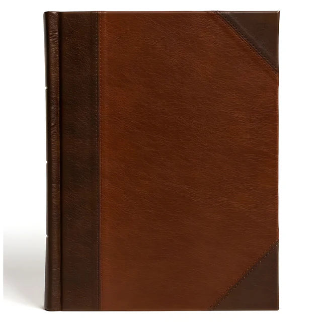 Neriah’s Light: CSB Notetaking Bible; Brown & Tan Large Print Edition