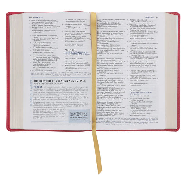 NKJV Pink Imitation Leather Student Study Bible Red Letter Comfort Print