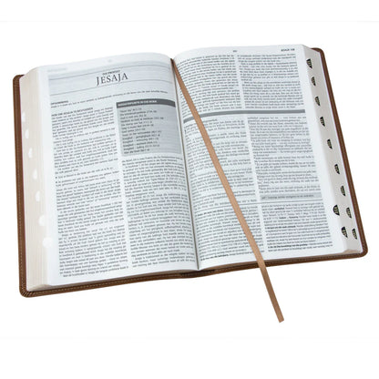 Afrikaanse Studiebybel | 1933/1953 Vertaling in Karamel Kunsleer