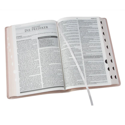 Afrikaanse Studiebybel | 1933/1953 Vertaling in Ligroos Kunsleer