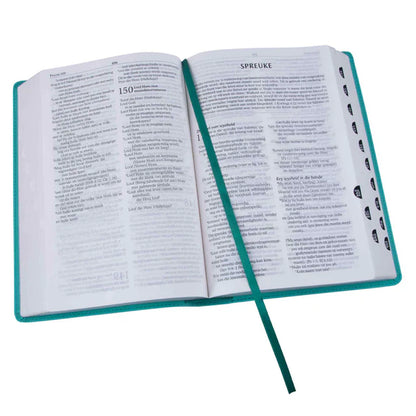 NLV Blougroen Kunsleer Toeligtingsbybel; Afrikaans; Neriah’s Light