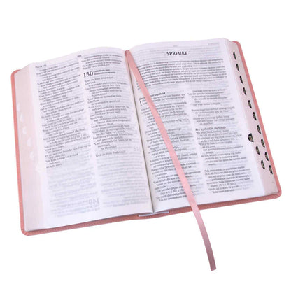 NLV Salm Kunsleer Toeligtingsbybel; Study Bible; Neriah’s Light