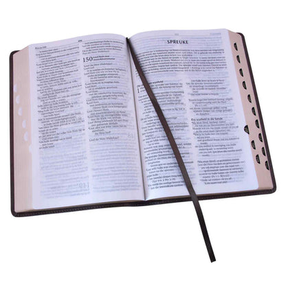 NLV Bruin Kunsleer Toeligtingsbybel; Study Bible; Neriah’s Light