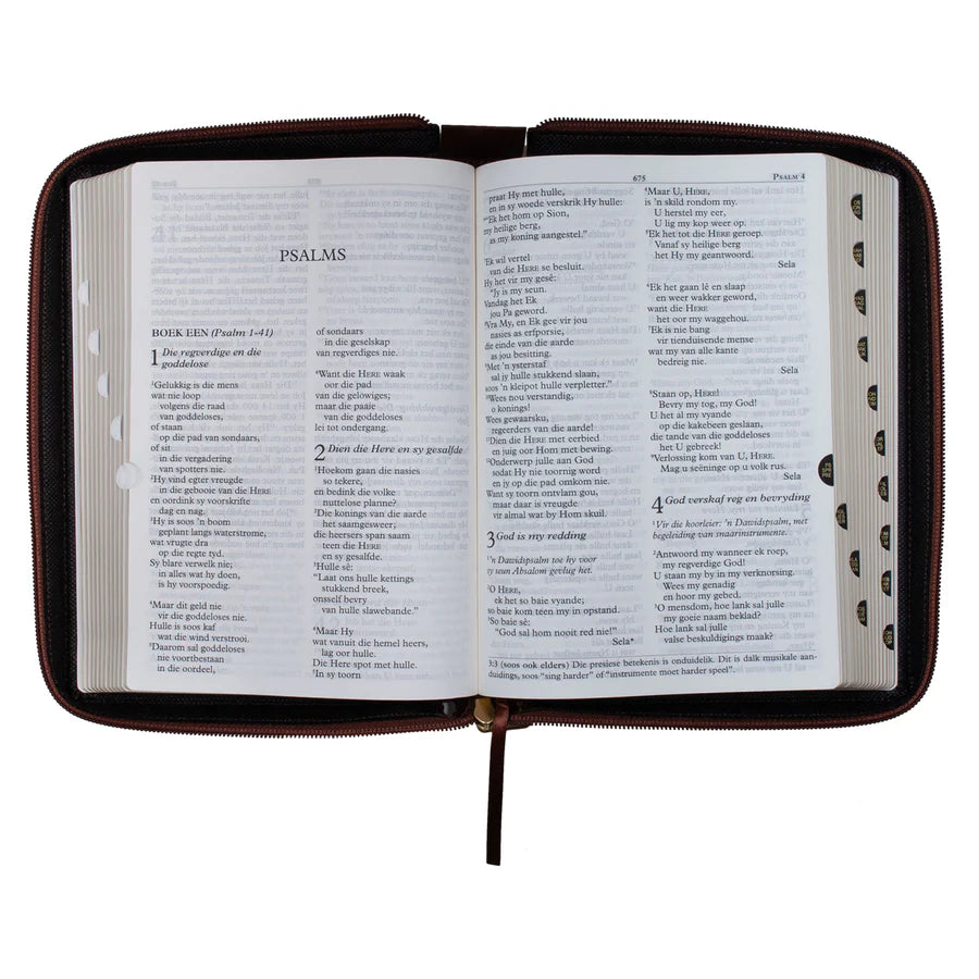 NLV Grootdruk Bybel | Neutbruin Kunsleer met Ritssluiter & Duimgrepe