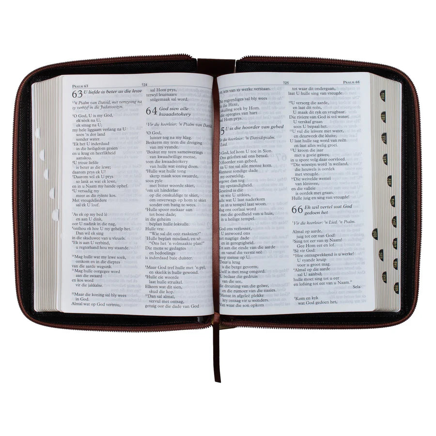 NLV Grootdruk Bybel | Neutbruin Kunsleer met Ritssluiter & Duimgrepe