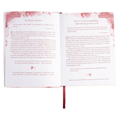 Neriah’s Light; Net Soos Jy Is – Hardeband