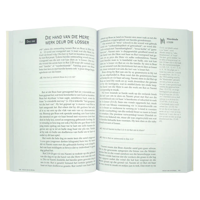 Neriah’s Light: Women of the Bible Study; Faith and Purpose