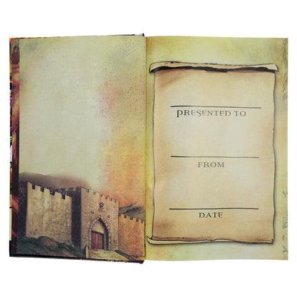 The Action Bible (Hardcover) | Kids Graphic Bible Stories