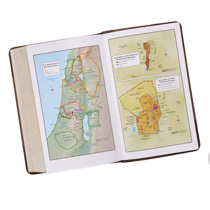 KJV Tan & Brown Study Bible | Giant Print Red Letter Edition