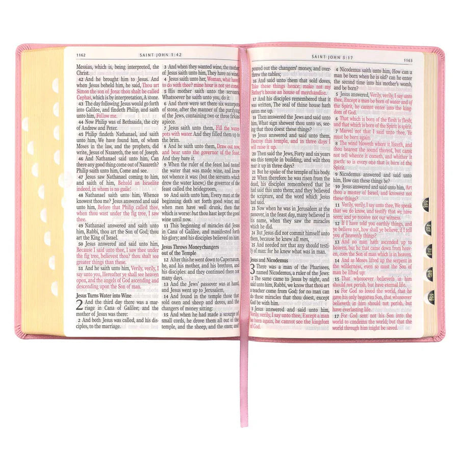 KJV Pink Study Bible | Giant Print Faux Leather Indexed Edition