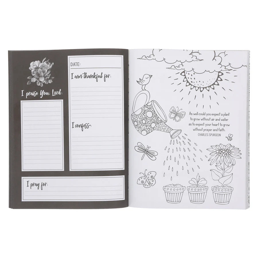 Coloring Prayer Journal; Guided Journal; Neriah’s Light