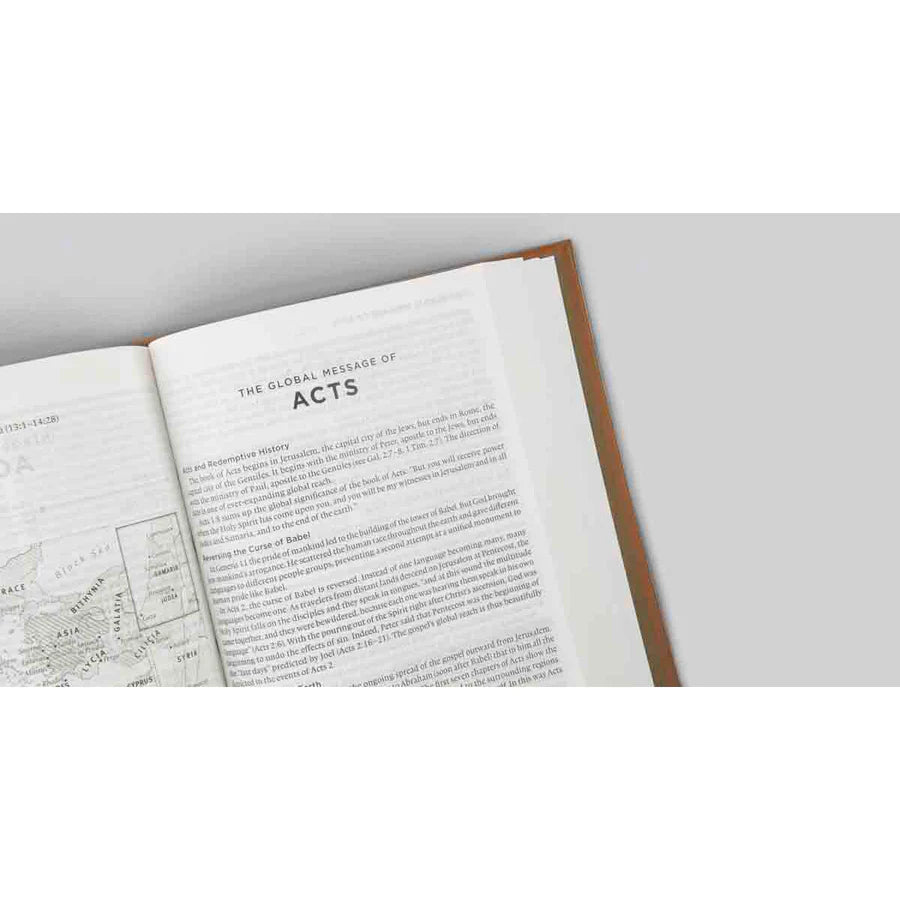 Neriah’s Light: ESV Global Study Bible; Durable Hardcover Edition