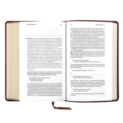 ESV Daily Reading Bible – Brown Imitation Leather ; Neriah's Light