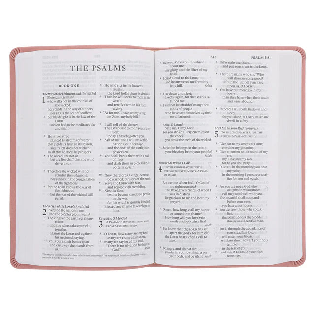 ESV Thinline Bible – Blush Rose Large Print; Neriah's Light