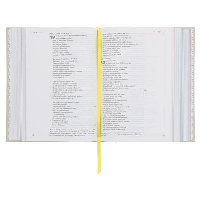 Neriah’s Light: CSB She Reads Truth Bible; Gray Hardcover Edition