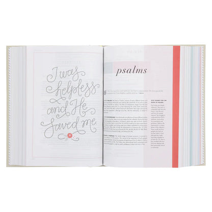 Neriah’s Light: CSB She Reads Truth Bible; Gray Hardcover Edition