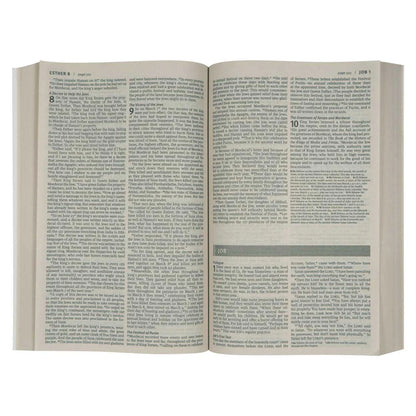 NLT Economy Outreach Bible – Paperback; Evangelism Bible; Neriah’s Light