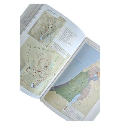 NLT Bible; Study Bible For Men; Filament Enabled; Neriah’s Light