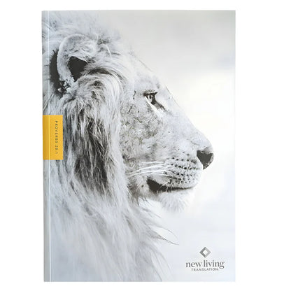 NLT Bible; Study Bible For Men; Filament Enabled; Neriah’s Light