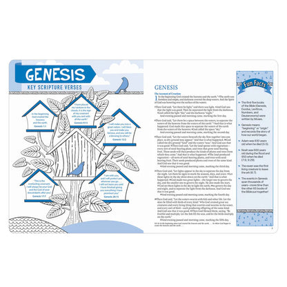 Neriah’s Light: NLT Inspire Bible for Kids; Paperback Edition