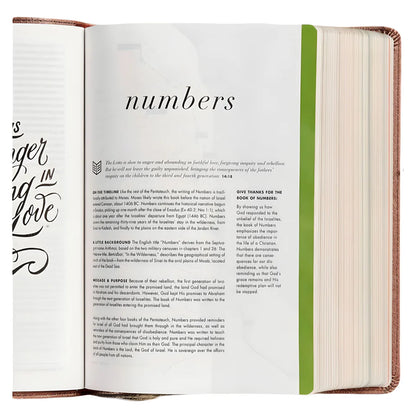 CSB She Reads Truth Bible – Rose Gold; Devotional; Neriah’s Light