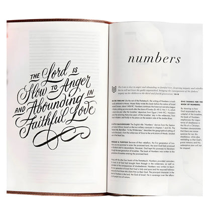 CSB She Reads Truth Bible – Rose Gold; Devotional; Neriah’s Light