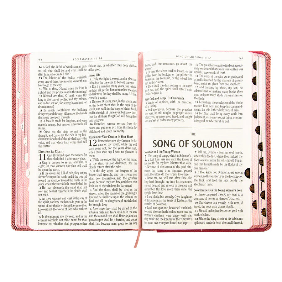 Neriah’s Light: KJV Kids Bible; Pink Hearts Faux Leather Large Print
