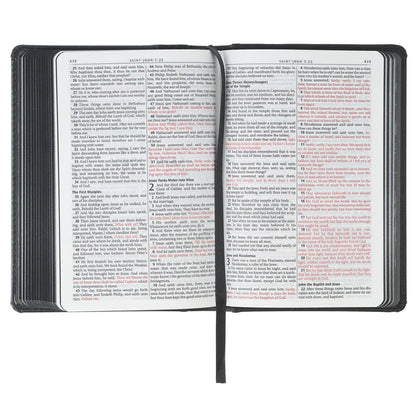 Neriah’s Light: KJV Compact Bible; Grey Lion Faux Leather