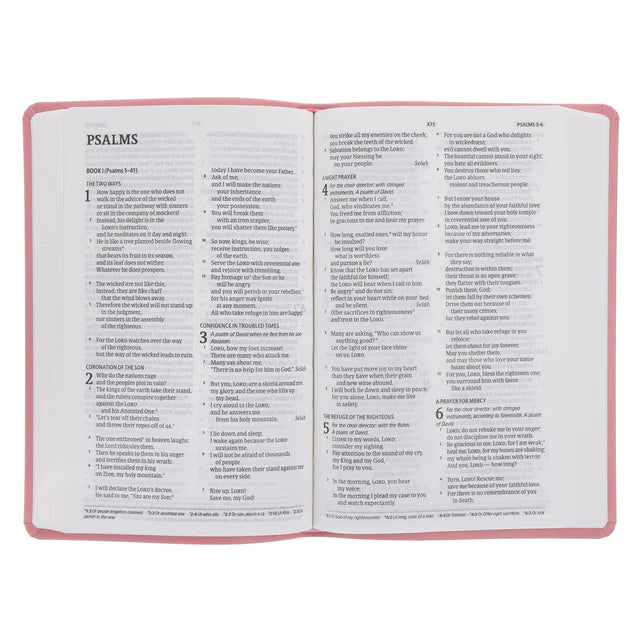 CSB Pink Imitation Leather Standard Bible