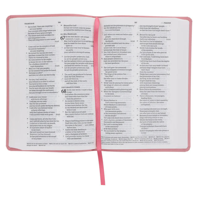 CSB Pink Imitation Leather Standard Bible