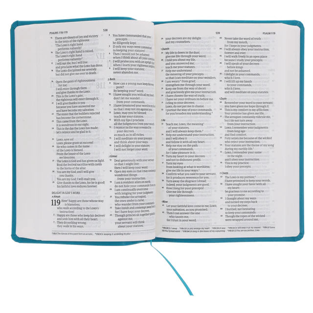 CSB Teal Imitation Leather Standard Bible
