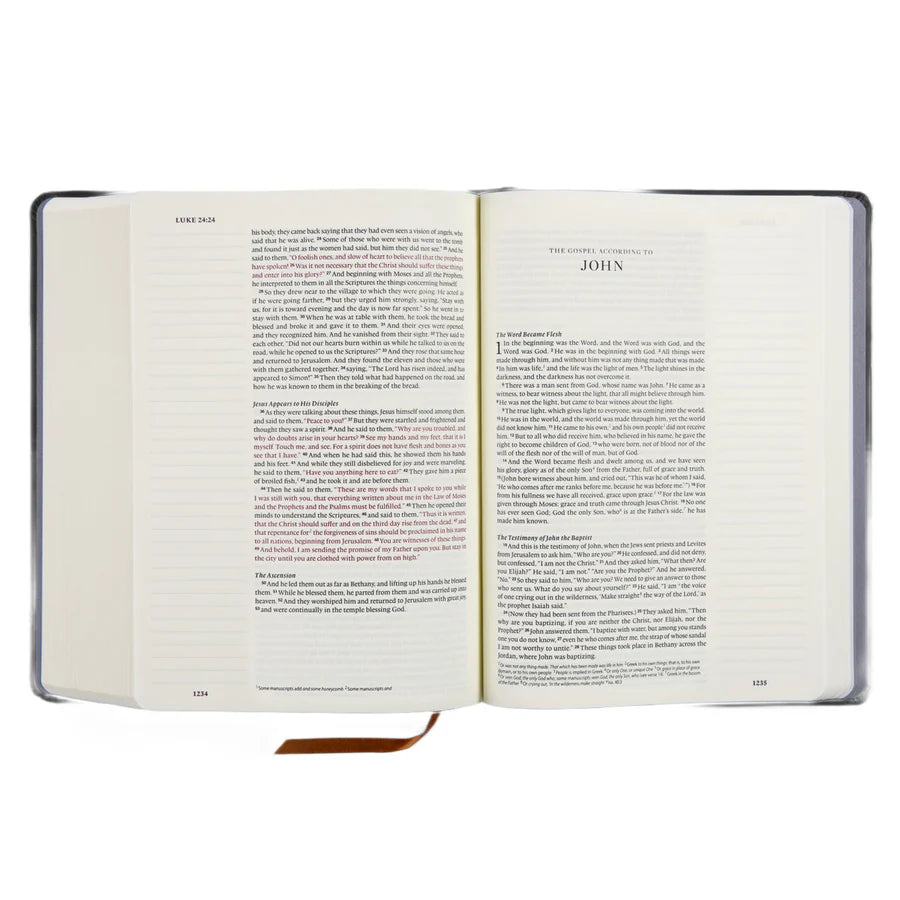 Neriah’s Light ; ESV Journaling Bible ; Lion and Lamb