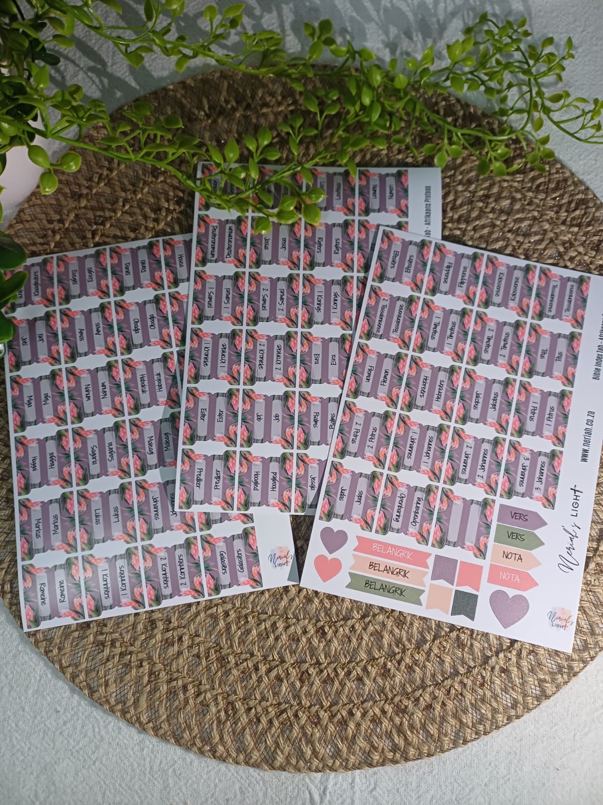 Bible Index Tabs; All Languages; Neriah’s Light