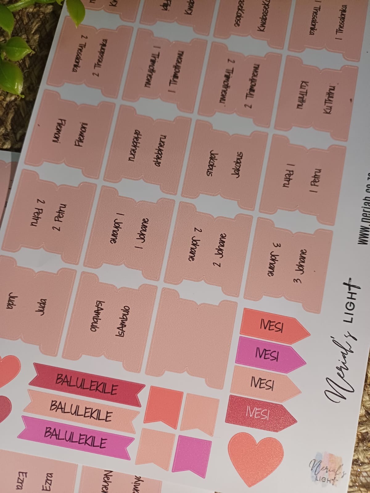 Bible Index Tabs; All Languages; Neriah’s Light