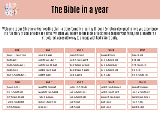 Neriah’s Light; Read the Bible in a Year – Faith Plan