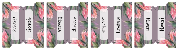 Bible Index Tabs; All Languages; Neriah’s Light