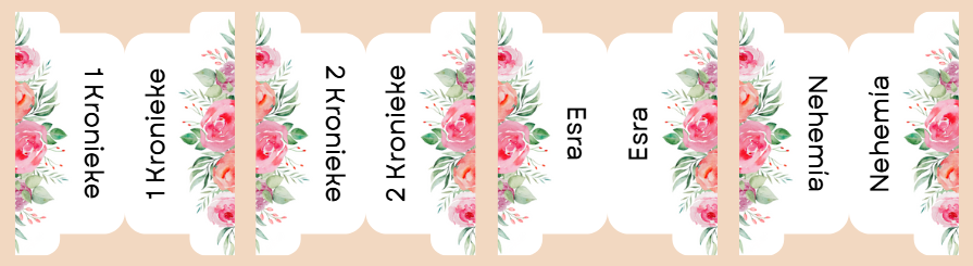 Bible Index Tabs;All Languages; Neriah’s Light